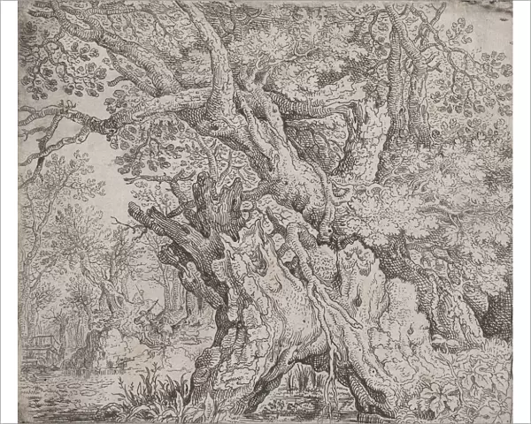 Gnarled Tree, ca. 1608-09. Creator: Roelandt Savery