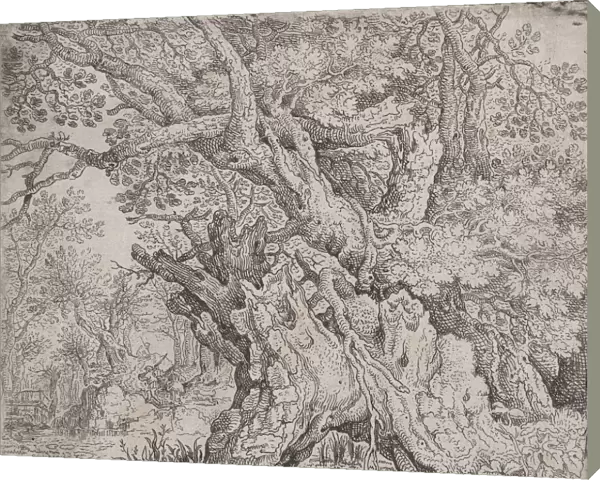 Gnarled Tree, ca. 1608-09. Creator: Roelandt Savery