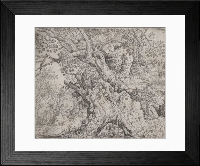 Framed Print : Gnarled Tree, ca. 1608-09. Creator: Roelandt Savery