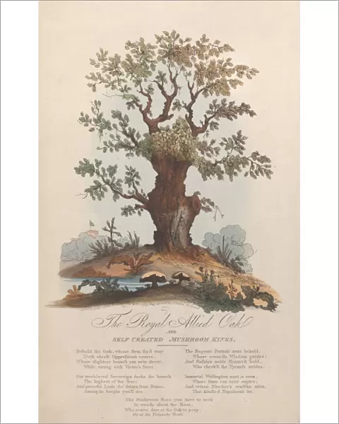 The Royal Allied Oak and Self-Created Mushroom Kings, May 29, 1815