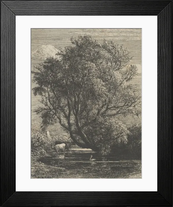 Framed Print : The Willow, 1850. Creator: Samuel Palmer Framed Print : The Willow, 1850. Creator: Samuel Palmer