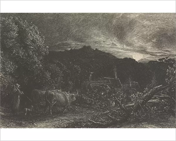 The Weary Ploughman, or The Herdsman, or Tardus Bubulcus, begun 1858