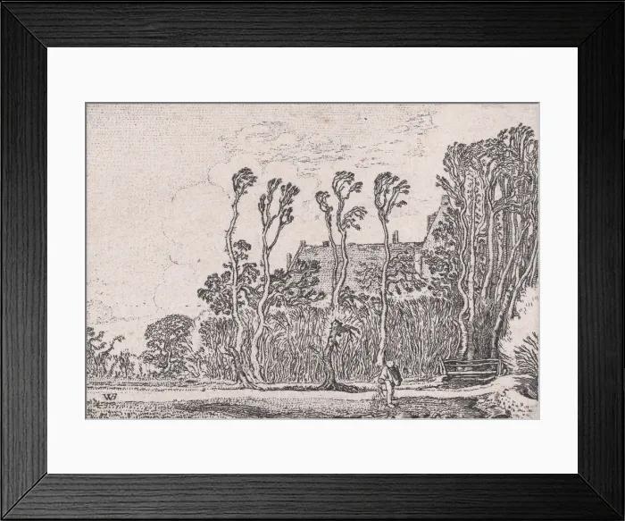 Framed Print : The Sower, from Verscheyden Landtschapjes (Various Little Landscapes), Plate 5, ca. 1616 Framed Print : The Sower, from Verscheyden Landtschapjes (Various Little Landscapes), Plate 5, ca. 1616