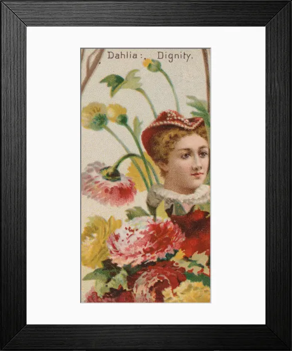 Framed Print : Dahlia: Dignity, from the series Floral Beauties and Language of Flowers (N75