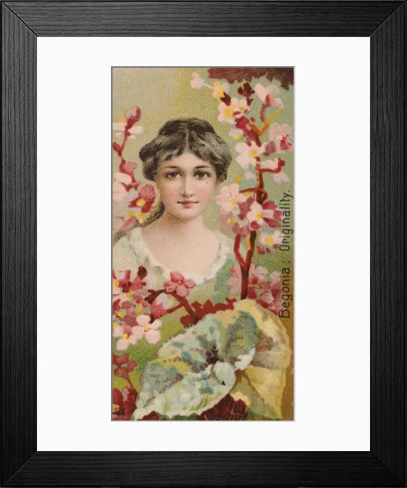 Framed Print : Begonia: Originality, from the series Floral Beauties and Language of Flowers (N75 Framed Print : Begonia: Originality, from the series Floral Beauties and Language of Flowers (N75