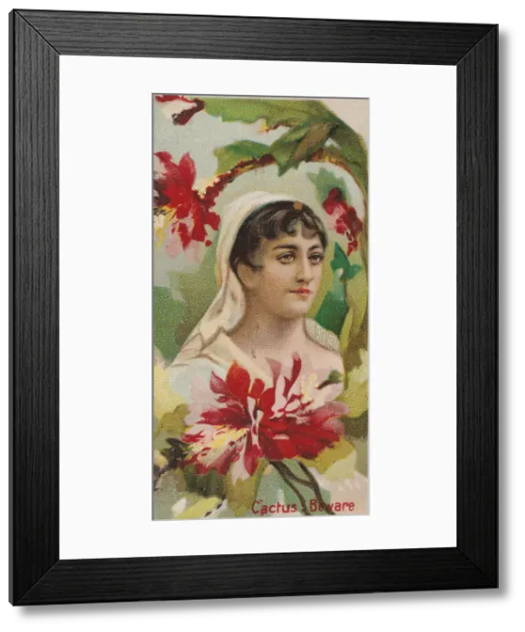 Framed Print : Cactus: Beware, from the series Floral Beauties and Language of Flowers (N75 Framed Print : Cactus: Beware, from the series Floral Beauties and Language of Flowers (N75
