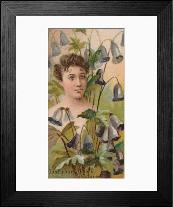 Framed Print : Canterbury Bells: Constancy, from the series Floral Beauties and Language of Flowers (N75 Framed Print : Canterbury Bells: Constancy, from the series Floral Beauties and Language of Flowers (N75