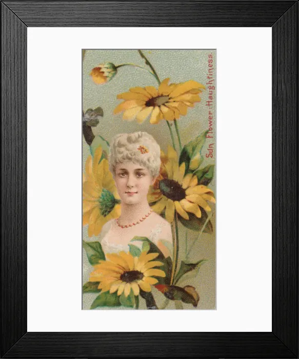 Framed Print : Sunflower: Haughtiness, from the series Floral Beauties and Language of Flowers (N75 Framed Print : Sunflower: Haughtiness, from the series Floral Beauties and Language of Flowers (N75