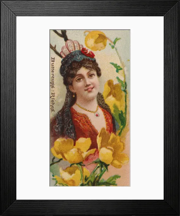 Framed Print : Buttercups: Riches, from the series Floral Beauties and Language of Flowers (N75 Framed Print : Buttercups: Riches, from the series Floral Beauties and Language of Flowers (N75