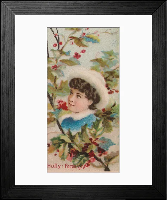 Framed Print : Holly: Foresight, from the series Floral Beauties and Language of Flowers (N75 Framed Print : Holly: Foresight, from the series Floral Beauties and Language of Flowers (N75