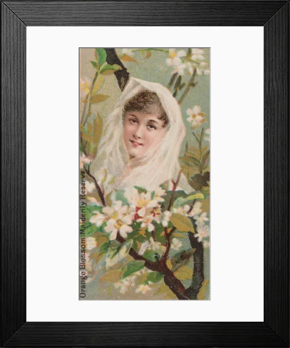 Framed Print : Orange Blossom: Maidenly Reserve, from the series Floral Beauties