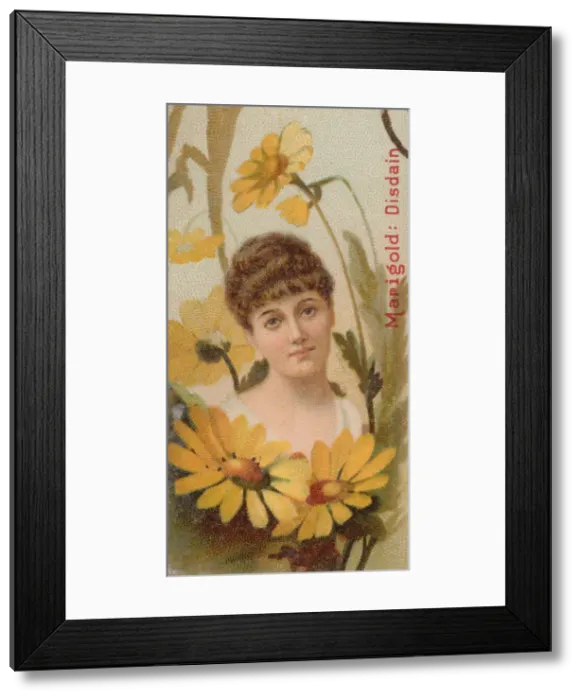 Framed Print : Marigold: Disdain, from the series Floral Beauties and Language of Flowers (N75 Framed Print : Marigold: Disdain, from the series Floral Beauties and Language of Flowers (N75