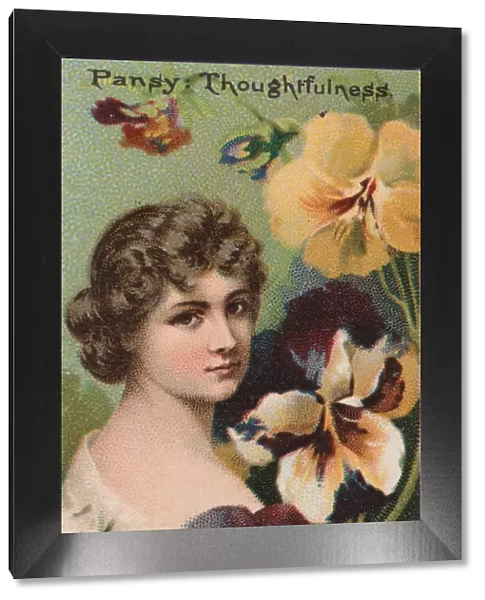 Pansy: Thoughtfulness, from the series Floral Beauties and Language of Flowers (N75