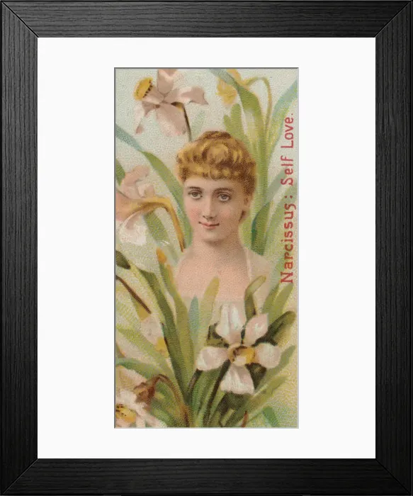 Framed Print : Narcissus: Self Love, from the series Floral Beauties and Language of Flowers (N75 Framed Print : Narcissus: Self Love, from the series Floral Beauties and Language of Flowers (N75
