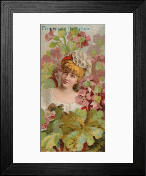 Framed Print : Primrose: Flirtation, from the series Floral Beauties and Language of Flowers (N75 Framed Print : Primrose: Flirtation, from the series Floral Beauties and Language of Flowers (N75
