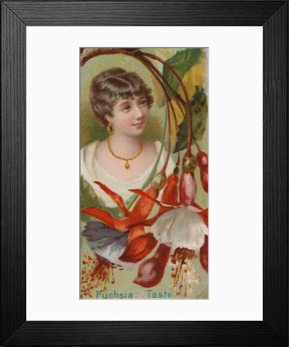 Framed Print : Fuchsia: Taste, from the series Floral Beauties and Language of Flowers (N75 Framed Print : Fuchsia: Taste, from the series Floral Beauties and Language of Flowers (N75