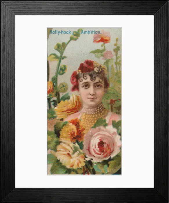 Framed Print : Hollyhock: Ambition, from the series Floral Beauties and Language of Flowers (N75 Framed Print : Hollyhock: Ambition, from the series Floral Beauties and Language of Flowers (N75