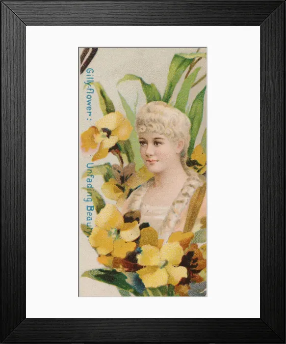 Framed Print : Gilly-flower: Unfading Beauty, from the series Floral Beauties and Language of Flowers Framed Print : Gilly-flower: Unfading Beauty, from the series Floral Beauties and Language of Flowers
