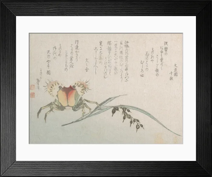 Framed Print : Crab and Rice Plant, 19th century. Creator: Hokusai Framed Print : Crab and Rice Plant, 19th century. Creator: Hokusai