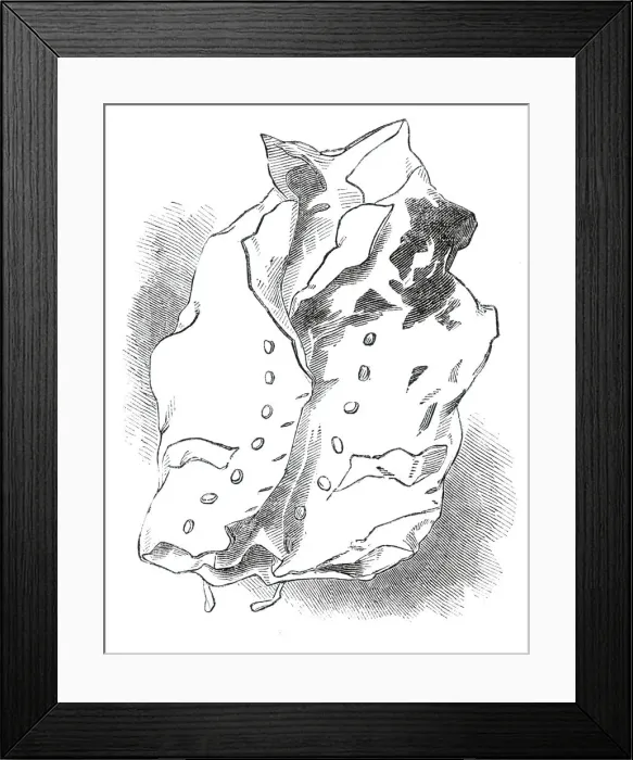Framed Print : The waistcoat worn by Nelson, at the Battle of Trafalgar, 1845. Creator: Unknown Framed Print : The waistcoat worn by Nelson, at the Battle of Trafalgar, 1845. Creator: Unknown