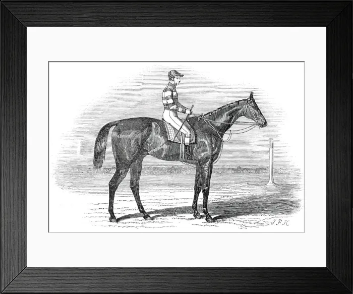 Framed Print : Sweetmeat, the winner of the Doncaster Plate, 1845. Creator: Unknown Framed Print : Sweetmeat, the winner of the Doncaster Plate, 1845. Creator: Unknown