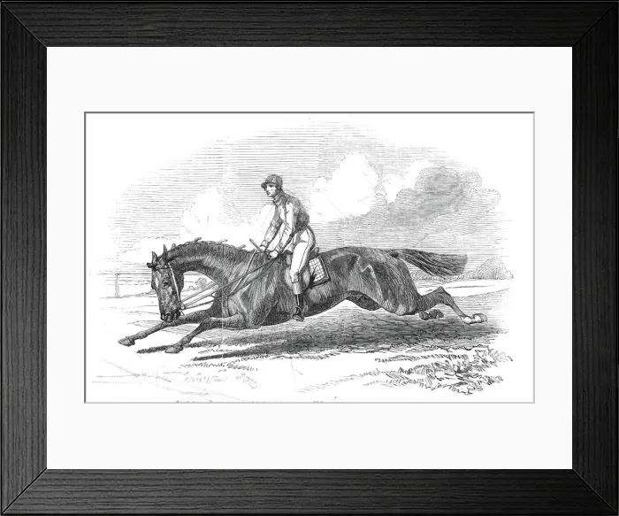 Framed Print : The Baron, the winner of the Great St. Leger 1845 - drawn by Herring, 1845 Framed Print : The Baron, the winner of the Great St. Leger 1845 - drawn by Herring, 1845
