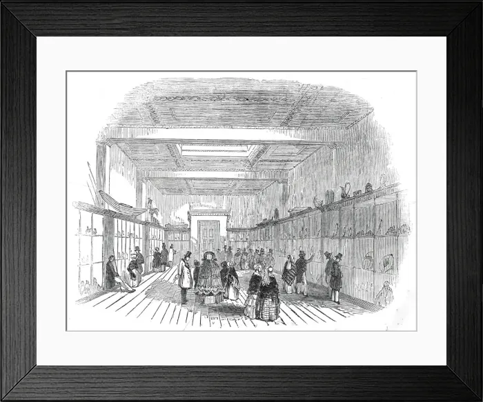 Framed Print : New room at the British Museum, 1845. Creator: Unknown Framed Print : New room at the British Museum, 1845. Creator: Unknown