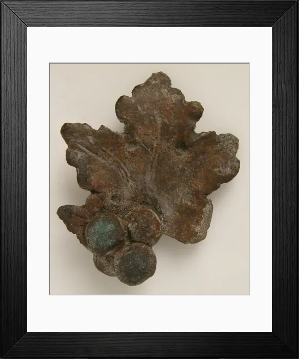 Framed Print : Grapes and Grape Leaf, Coptic, 3rd century. Creator: Unknown Framed Print : Grapes and Grape Leaf, Coptic, 3rd century. Creator: Unknown
