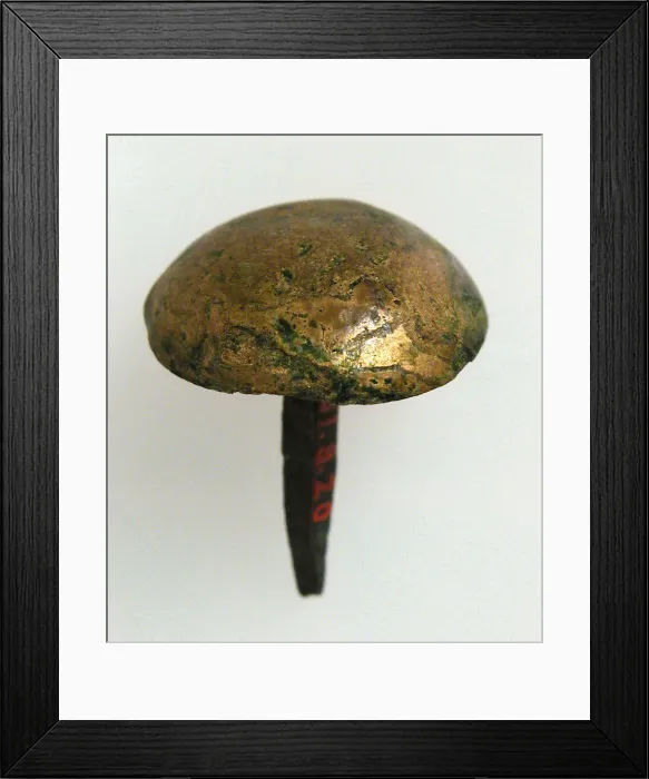 Framed Print : Nail, Coptic, 4th century. Creator: Unknown Framed Print : Nail, Coptic, 4th century. Creator: Unknown