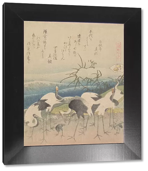 Ashi Clam, from the series 'Genroku Kasen Kai-awase', 1821. Creator: Hokusai