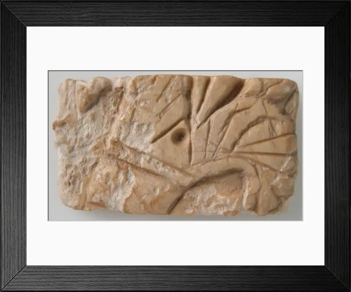 Framed Print : Relief Fragment with Lotus Design, Coptic, 6th-7th century. Creator: Unknown Framed Print : Relief Fragment with Lotus Design, Coptic, 6th-7th century. Creator: Unknown