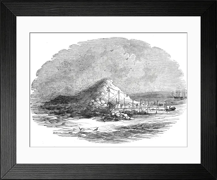 Framed Print : The Island of Ichaboe, 1844. Creator: Unknown Framed Print : The Island of Ichaboe, 1844. Creator: Unknown