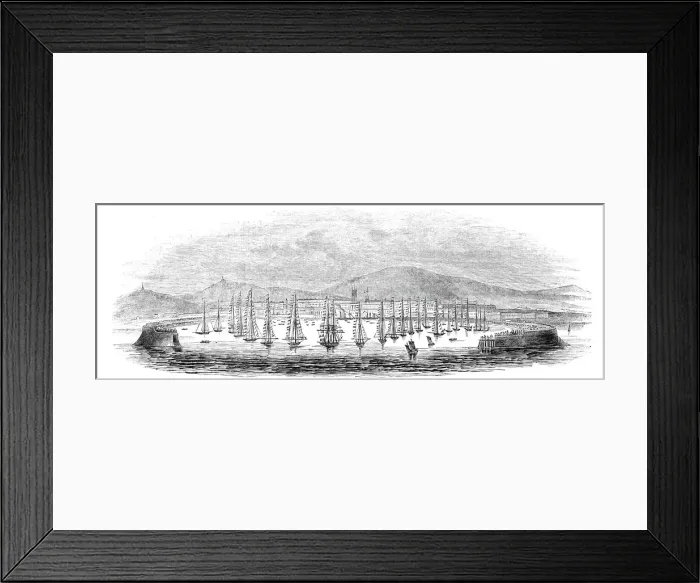Framed Print : Inspection of Revenue Cruisers, in Kingstown Harbour, Dublin, 1844. Creator: Unknown Framed Print : Inspection of Revenue Cruisers, in Kingstown Harbour, Dublin, 1844. Creator: Unknown