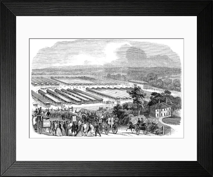 Framed Print : The Cattle Show, Portswood, 1844. Creator: Unknown Framed Print : The Cattle Show, Portswood, 1844. Creator: Unknown