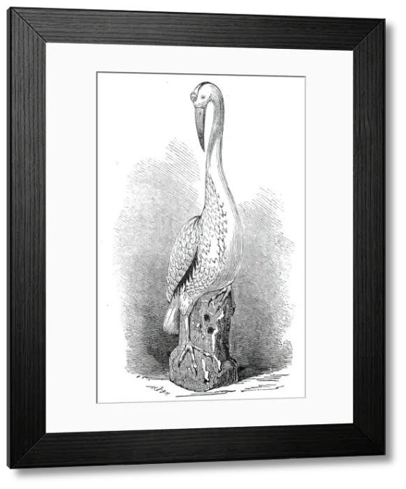 Framed Print : Rare old India China stork, 1845. Creator: Unknown Framed Print : Rare old India China stork, 1845. Creator: Unknown