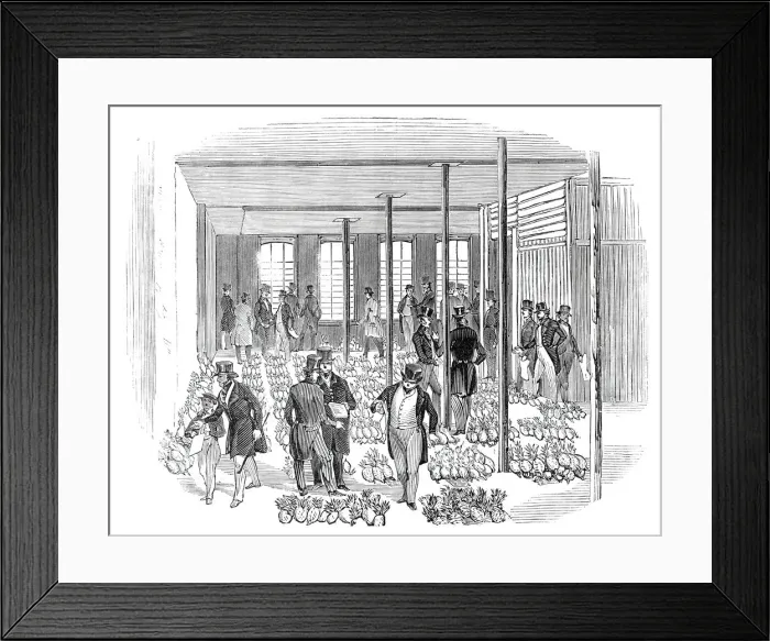 Framed Print : Sale of West India Pine Apples, 1844. Creator: Unknown Framed Print : Sale of West India Pine Apples, 1844. Creator: Unknown