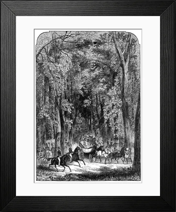Framed Print : Road through Goodwood Park, 1844. Creator: Unknown Framed Print : Road through Goodwood Park, 1844. Creator: Unknown
