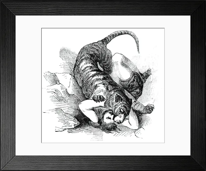 Framed Print : Carters Tiger Feat, 1844. Creator: Unknown Framed Print : Carters Tiger Feat, 1844. Creator: Unknown