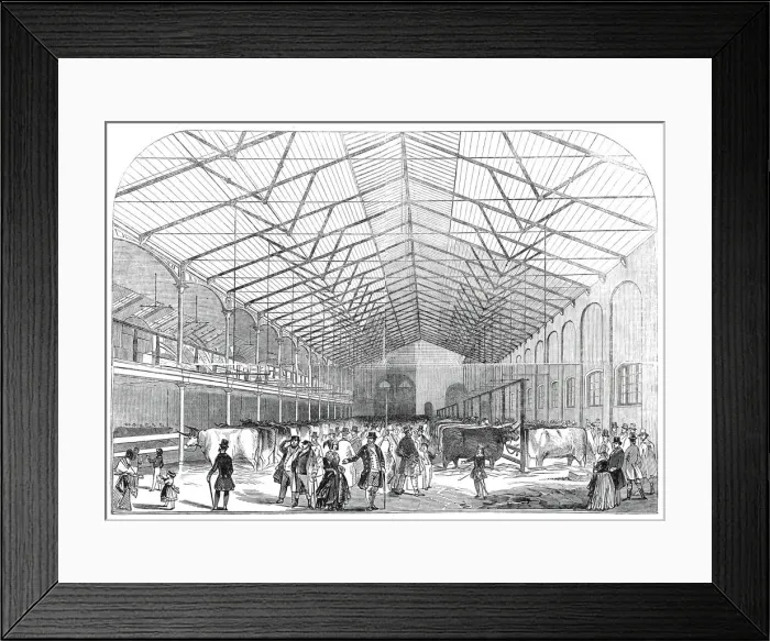 Framed Print : The Smithfield Prize Cattle Show, 1845. Creator: Unknown Framed Print : The Smithfield Prize Cattle Show, 1845. Creator: Unknown