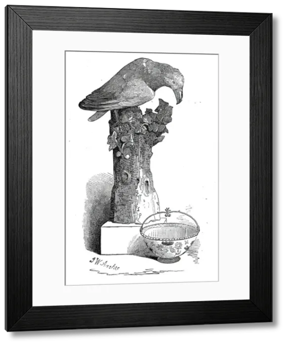 Framed Print : China bird, and Japan sugar basket, 1845. Creator: John Wykeham Archer Framed Print : China bird, and Japan sugar basket, 1845. Creator: John Wykeham Archer