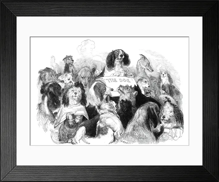 Framed Print : The Dog Bill Committee, drawn by T. Landseer, 1844. Creator: Thomas Landseer Framed Print : The Dog Bill Committee, drawn by T. Landseer, 1844. Creator: Thomas Landseer