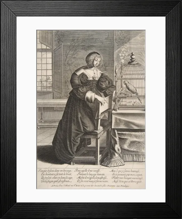 Framed Print : The Parrot, 1620-76. Creator: Abraham Bosse Framed Print : The Parrot, 1620-76. Creator: Abraham Bosse