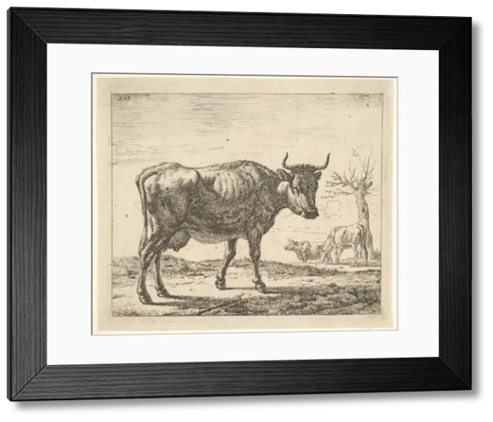 Framed Print : Three Cows, from Different Animals. Creator: Adriaen van de Velde Framed Print : Three Cows, from Different Animals. Creator: Adriaen van de Velde