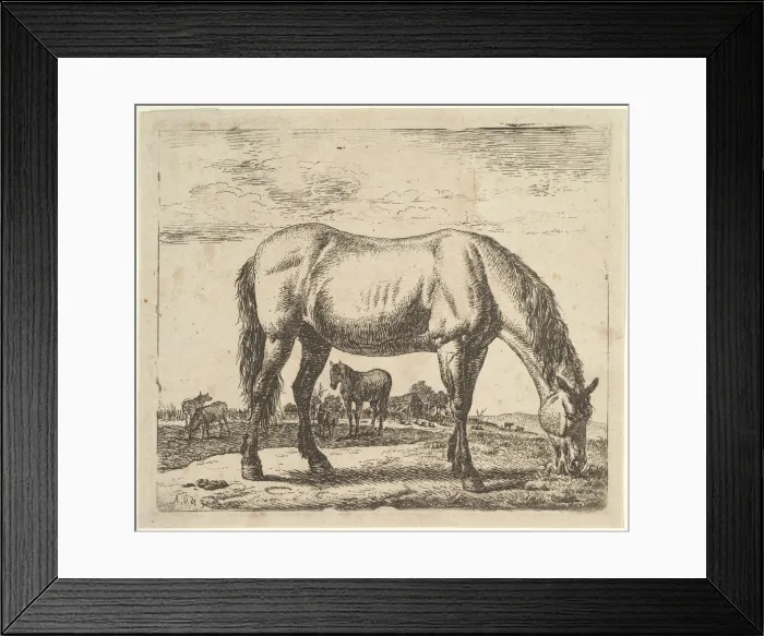 Framed Print : Grazing Horse, from Different Animals. Creator: Adriaen van de Velde Framed Print : Grazing Horse, from Different Animals. Creator: Adriaen van de Velde