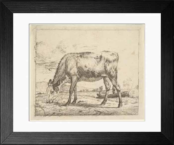 Framed Print : Grazing Calf, from Different Animals, 1658. Creator: Adriaen van de Velde Framed Print : Grazing Calf, from Different Animals, 1658. Creator: Adriaen van de Velde