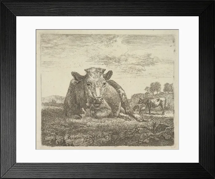 Framed Print : Recumbent Cow, from Different Animals, 1657. Creator: Adriaen van de Velde Framed Print : Recumbent Cow, from Different Animals, 1657. Creator: Adriaen van de Velde