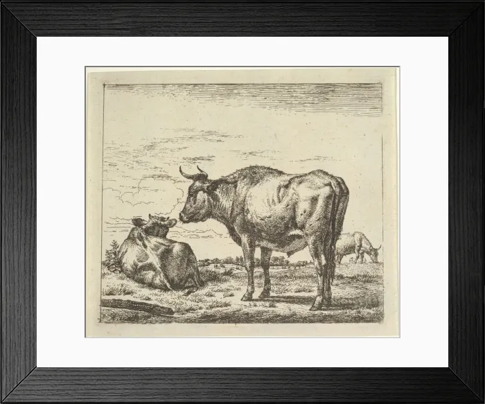 Framed Print : Standing Bull, from Different Animals. Creator: Adriaen van de Velde Framed Print : Standing Bull, from Different Animals. Creator: Adriaen van de Velde