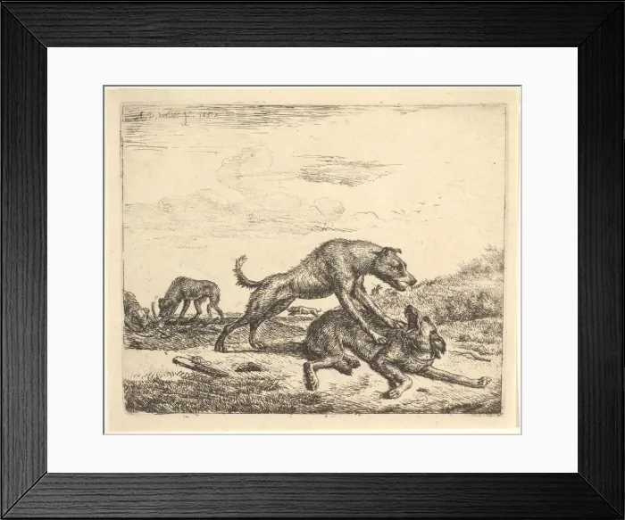 Framed Print : Fighting Dogs, from Different Animals, 1657. Creator: Adriaen van de Velde Framed Print : Fighting Dogs, from Different Animals, 1657. Creator: Adriaen van de Velde
