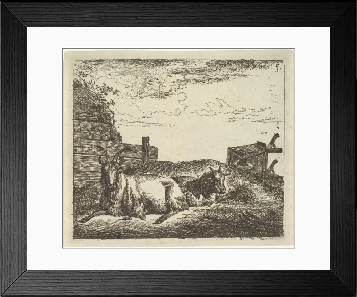 Framed Print : Recumbent Goats, from Different Animals. Creator: Adriaen van de Velde Framed Print : Recumbent Goats, from Different Animals. Creator: Adriaen van de Velde