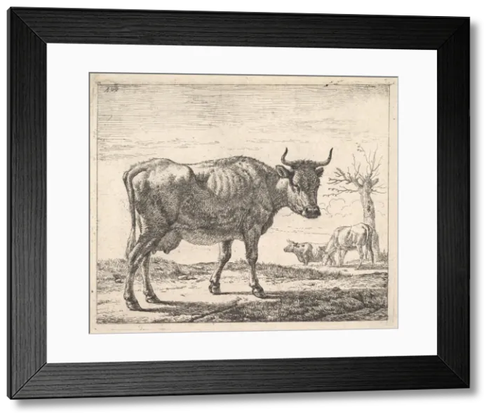 Framed Print : Three Cows. Creator: Adriaen van de Velde Framed Print : Three Cows. Creator: Adriaen van de Velde